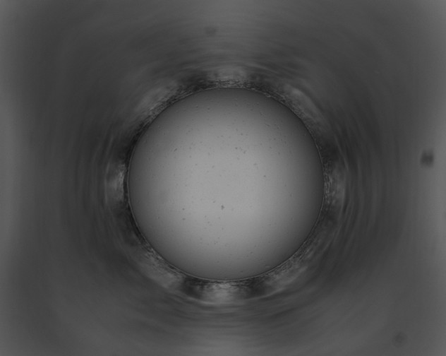 X0000091660717200708301439