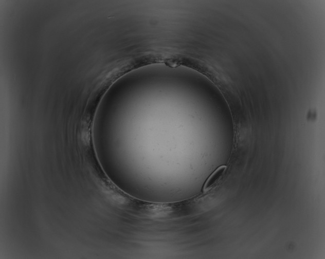 X0000091660719200708301439