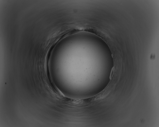 X0000091660720200708301439