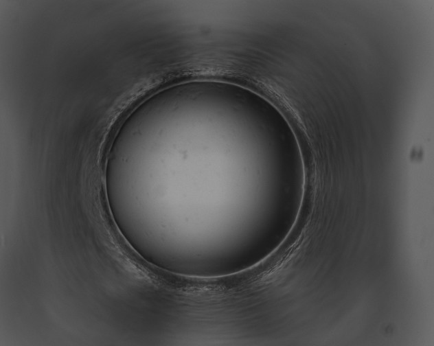 X0000091660721200708301438