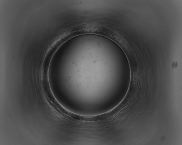 X0000091660722200708301438