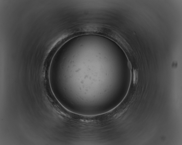 X0000091660723200708301438