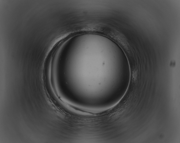 X0000091660724200708301438