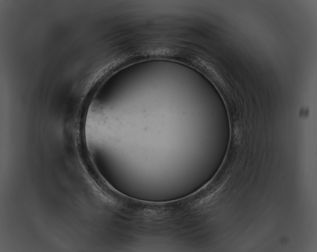 X0000091660725200708301438