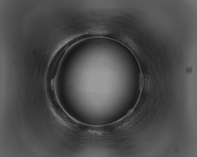 X0000091660726200708301438