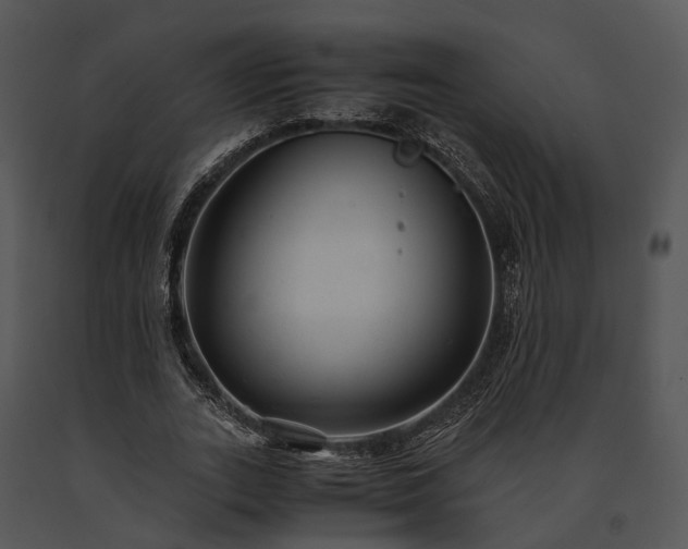 X0000091660727200708301438