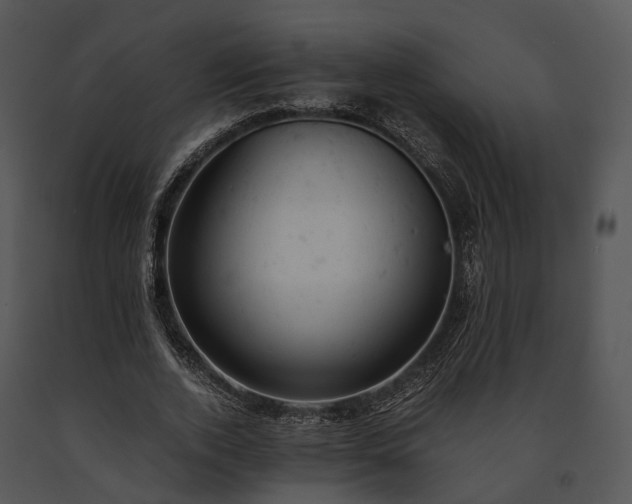 X0000091660728200708301438