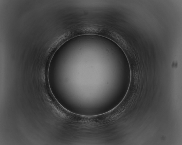 X0000091660729200708301438