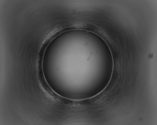 X0000091660730200708301438