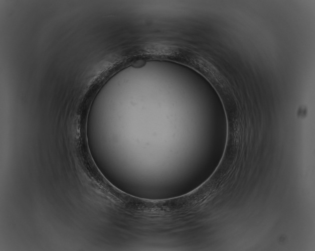 X0000091660731200708301438