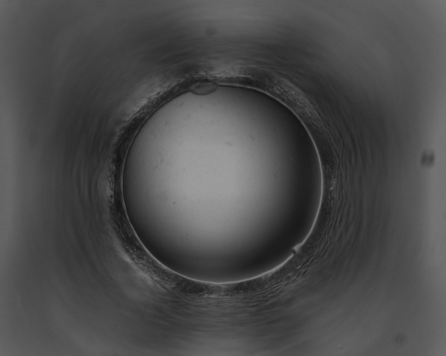 X0000091660732200708301438