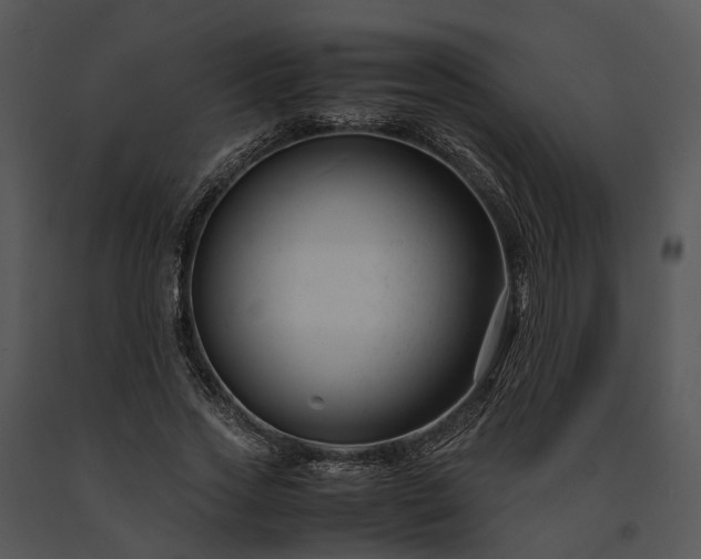 X0000091660733200708301438