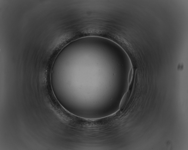 X0000091660735200708301438