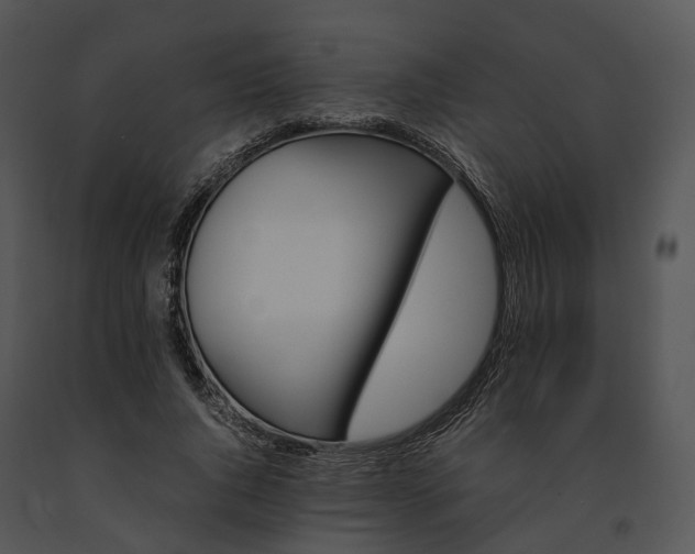 X0000091660736200708301438