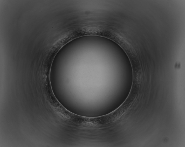 X0000091660737200708301438