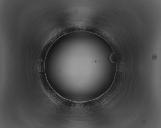 X0000091660738200708301438