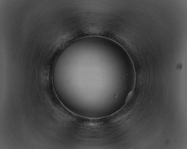 X0000091660739200708301438