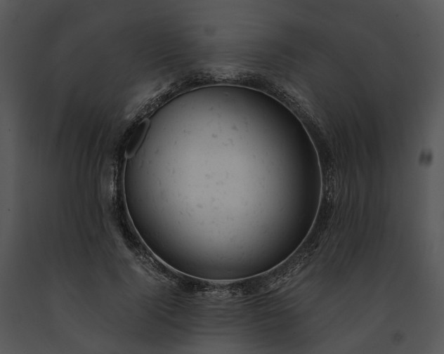 X0000091660740200708301438