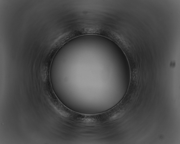 X0000091660741200708301438