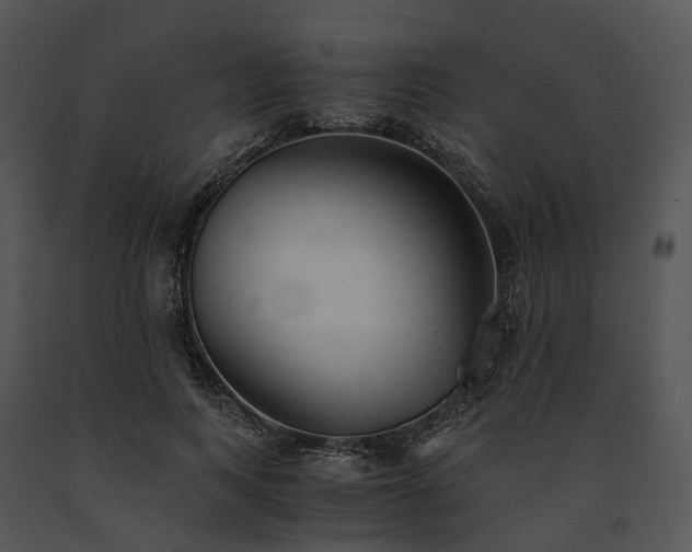 X0000091660743200708301438