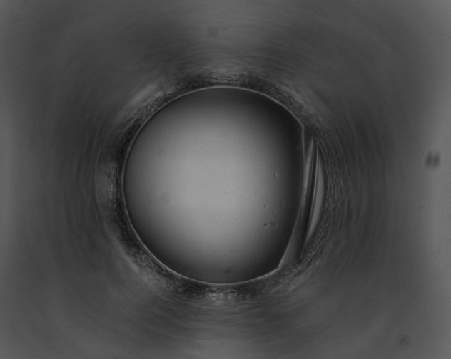 X0000091660744200708301438