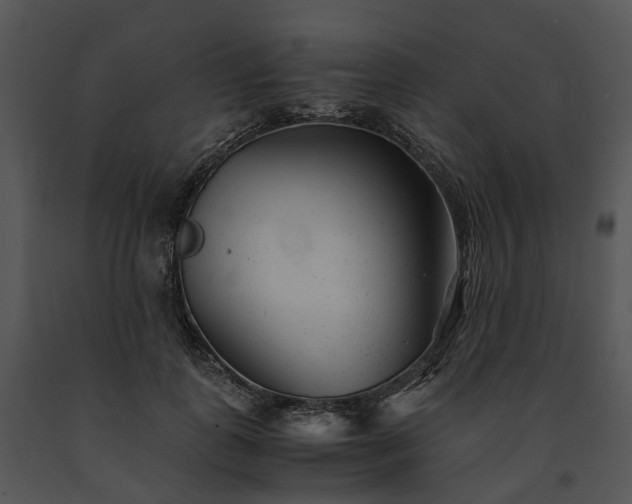 X0000091660747200708301438