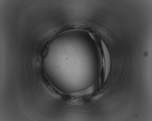 X0000091660748200708301438