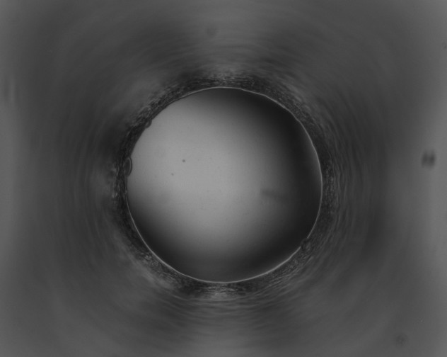 X0000091660750200708301438