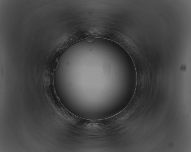 X0000091660751200708301438