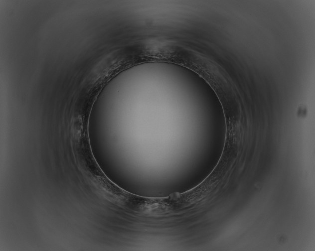 X0000091660752200708301438