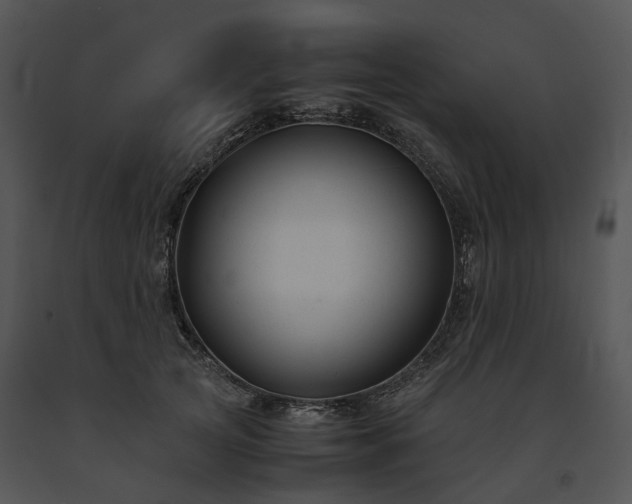 X0000091660753200708301438