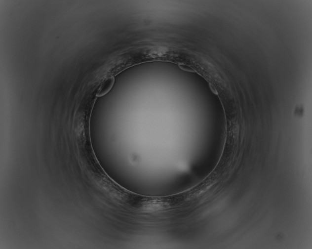 X0000091660754200708301438