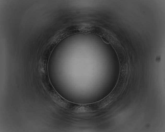 X0000091660755200708301438