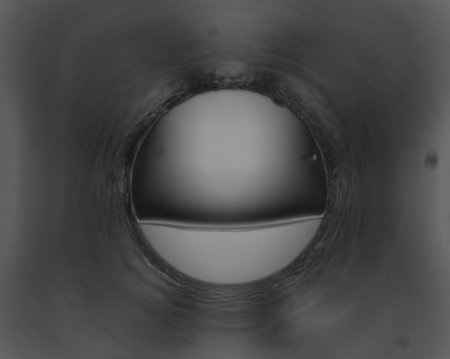 X0000091660756200708301438