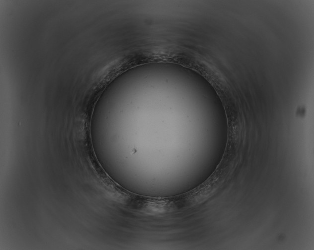 X0000091660757200708301438