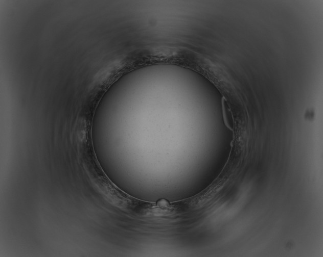 X0000091660758200708301438