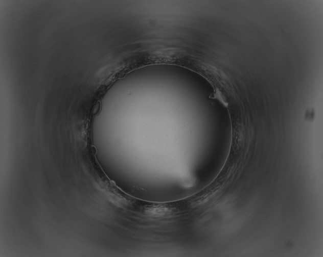 X0000091660759200708301438