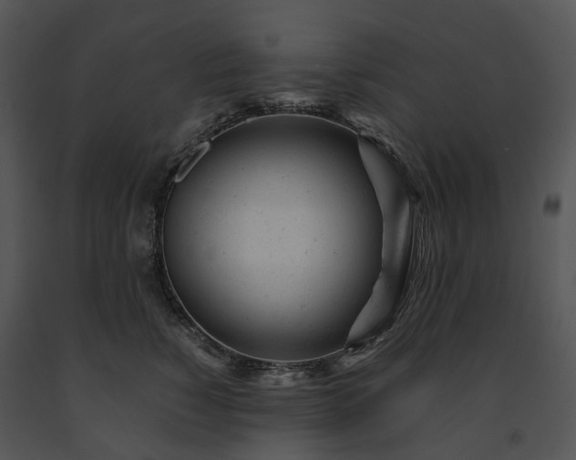 X0000091660760200708301438
