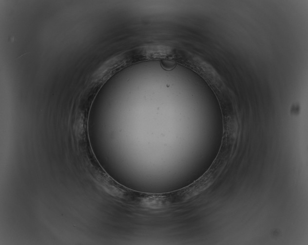 X0000091660761200708301438