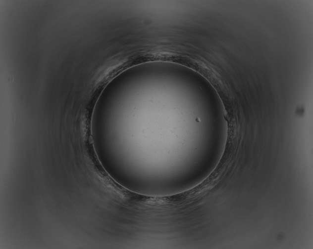 X0000091660762200708301439