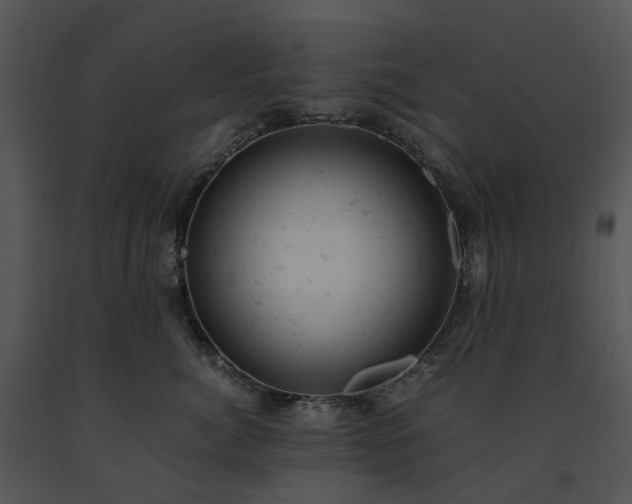 X0000091660764200708301439