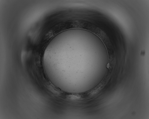 X0000091660765200708301439