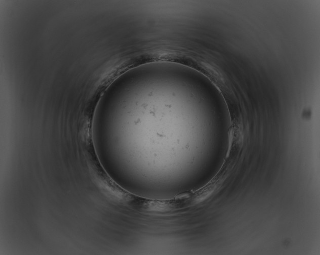 X0000091660766200708301439