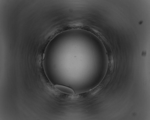 X0000091660767200708301439