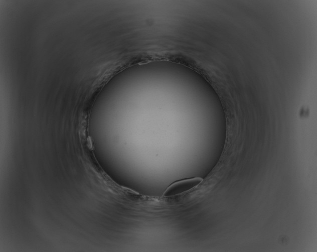 X0000091660768200708301439
