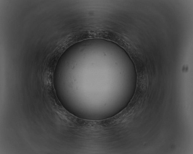 X0000091660770200708301438