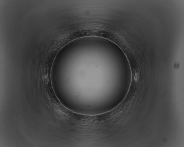 X0000091660771200708301438