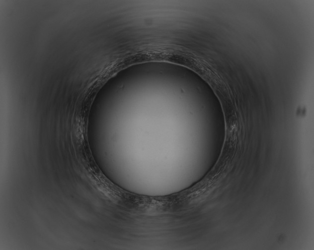X0000091660772200708301438