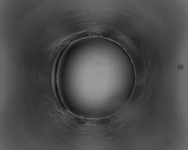 X0000091660773200708301438