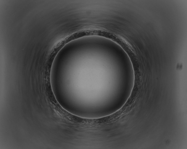X0000091660775200708301438